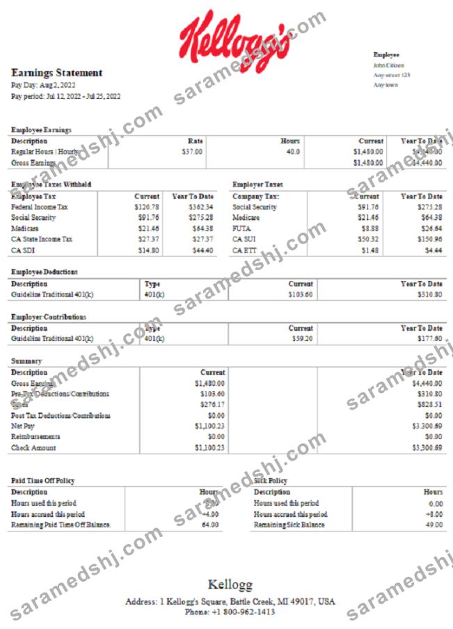 USA Kellog food processing company pay stub